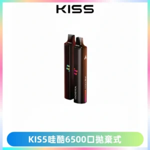 KIS5WAGOO哇酷6500口拋棄式 | 自由混搭雙口味 | 雙芯組合