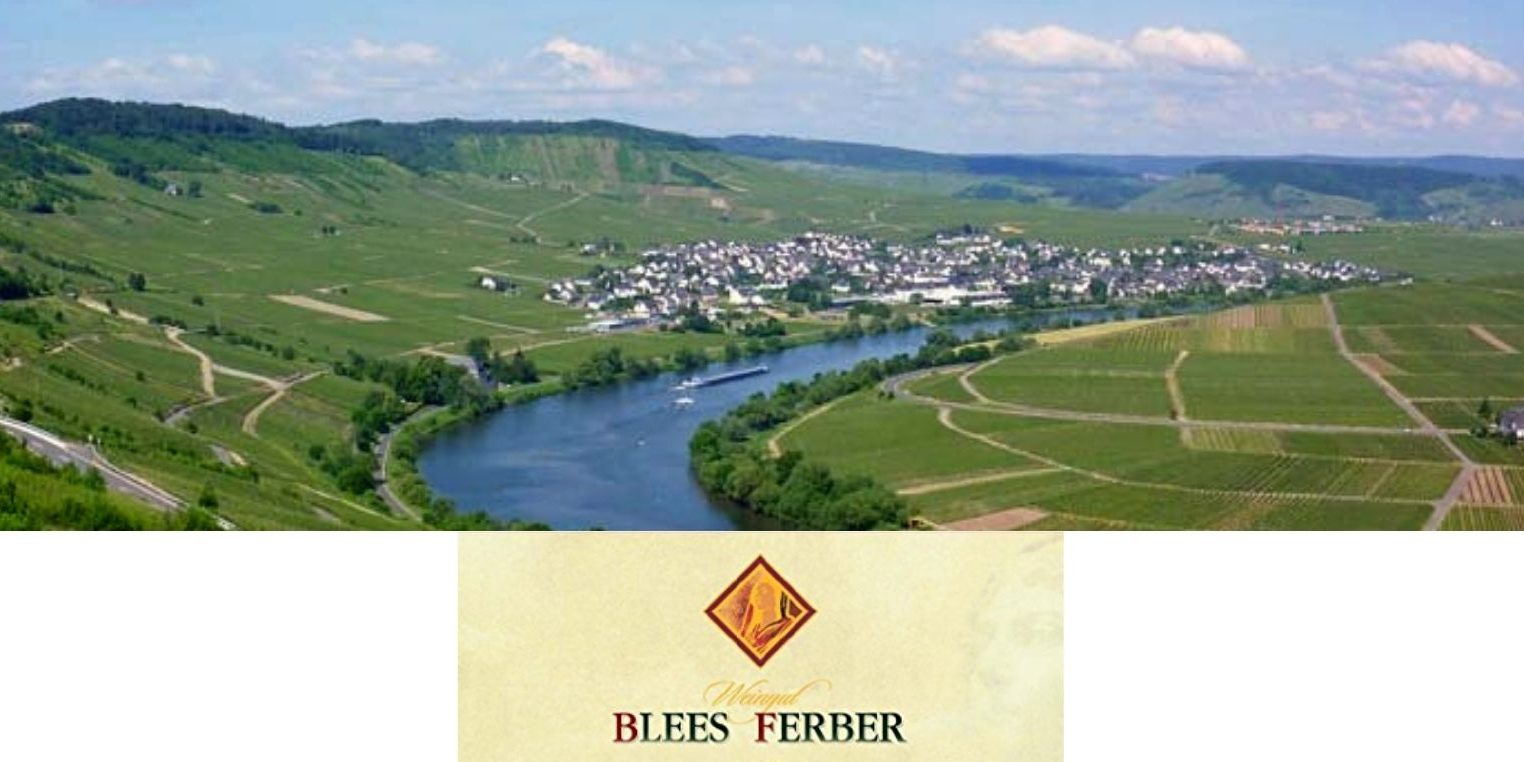 Blees Ferber