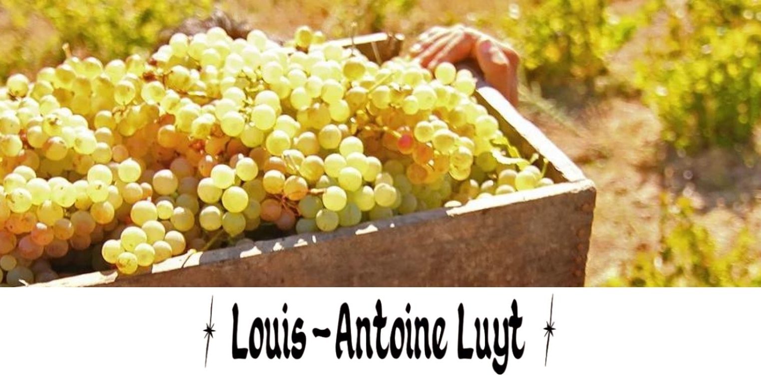 louis antonie luyt banner